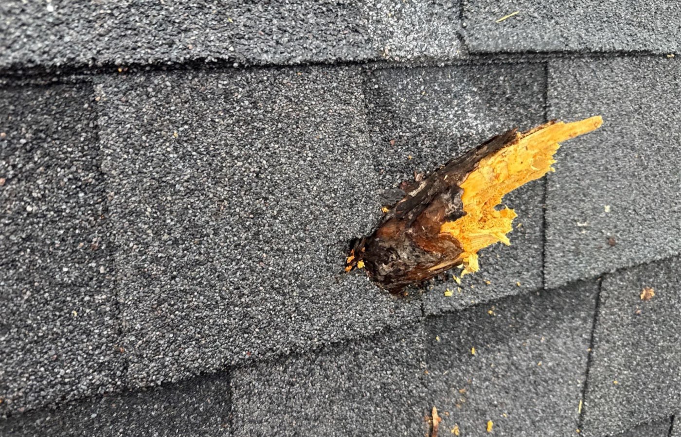 Tree limb puncture through architectural shingles on a Mississippi Gulf Coast roof after a storm, before repair