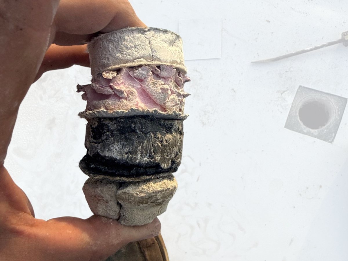 A core sample cut from a commercial flat roof, showing the membrane, cover board, insulation and substrate layers held over the white membrane