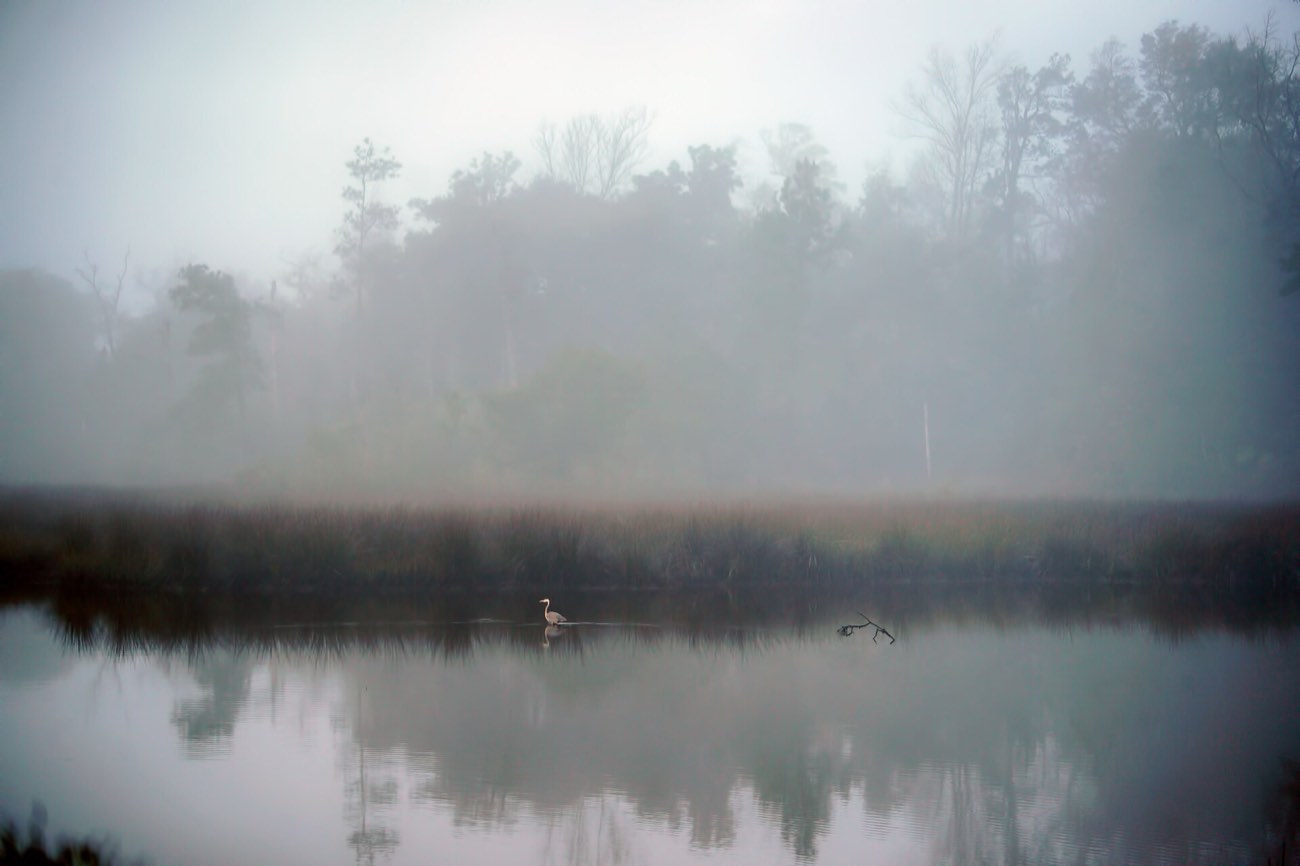 Early morning fog over Davis Bayou near St. Martin Mississippi