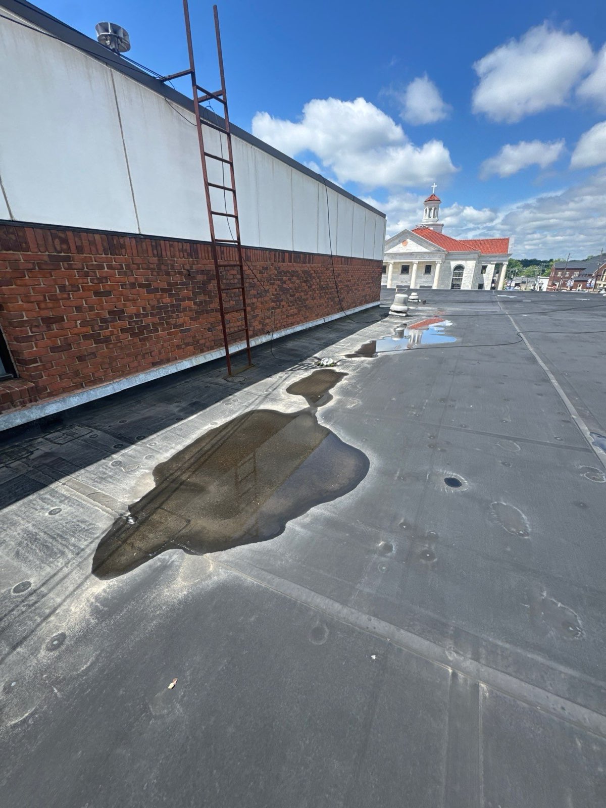 Ponding water documented on a commercial flat roof during a drainage assessment